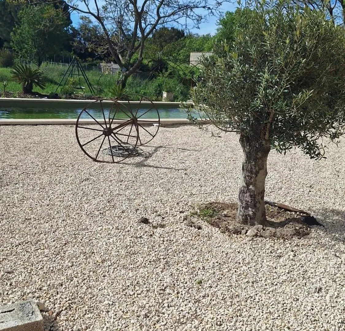 Coeur De Mas Entre Alpilles Et Camargue Avec Piscine Et Climatisation - 2 Chambres Arles Frankrijk